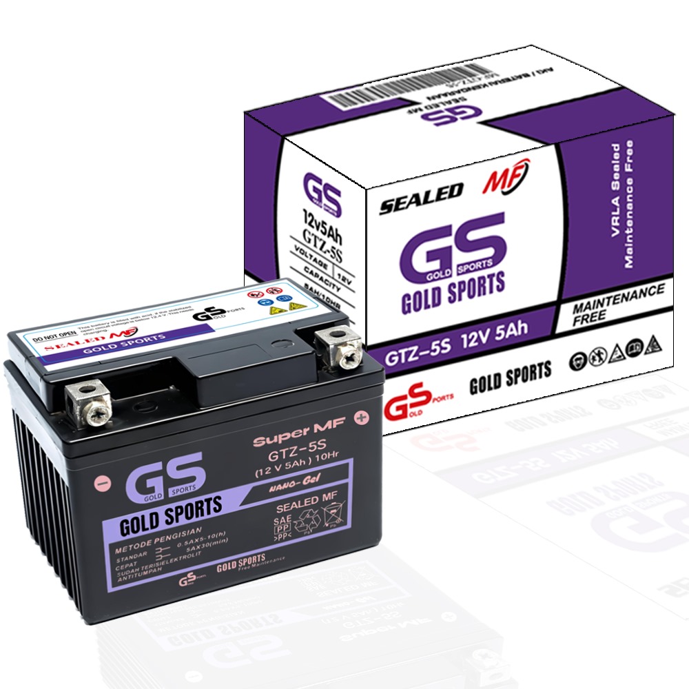 Aki Motor GS GOLD SPORTS